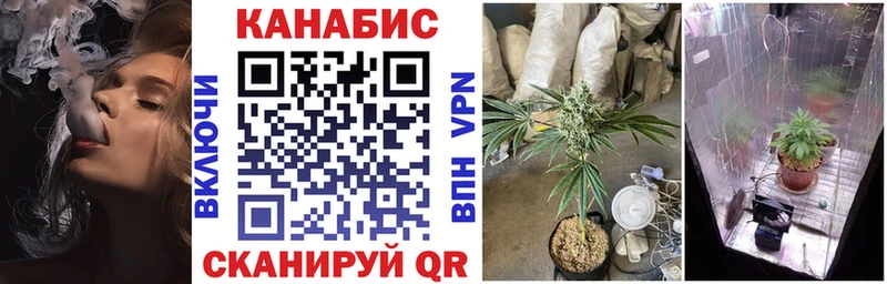 кракен как зайти  Разумное  Конопля ГИДРОПОН 